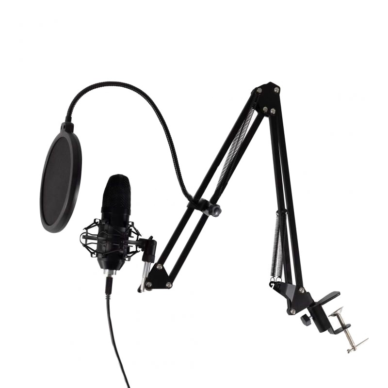 Set microfon profesional, USB, brat articulat, filtru pop-up flexibil, studio, streaming - imagine 4